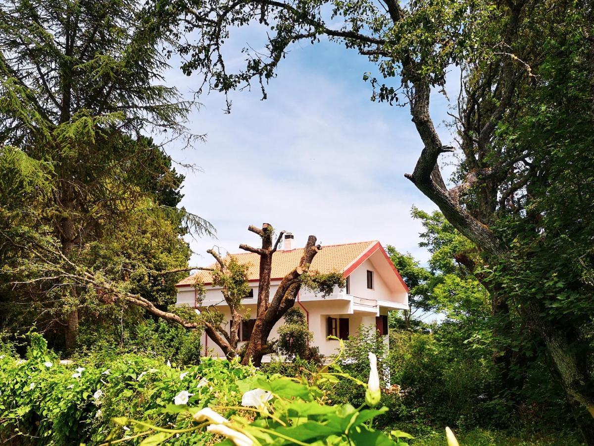 Locanda Sottobosco Pensionat San Leonardo de Siete Fuentes Exteriör bild